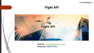 Flight API