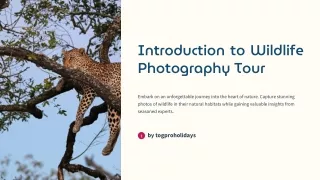 Unleash Your Inner Explorer: Wildlife Photography Tours That Transcend Boundarie