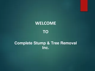 Get the Best Service for Stump Removal in Beechwood