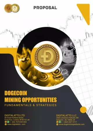 DogeCoin Mining Opportunity Proposal