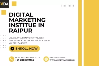 Best Digital Marketing Institute in Raipur