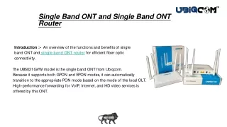 Single Band ONT and Single Band ONT Router