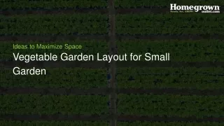 Vegetable Garden Layout for Small Garden