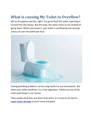 What is causing My Toilet to Overflow?