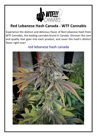 Red Lebanese Hash Canada WTF Cannabis