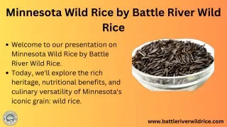 Minnesota Wild Rice