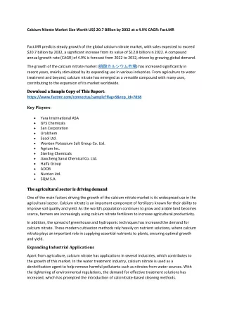 Calcium Nitrate Market Revenue, Insights, Overview, Outlook, Analysis 2032