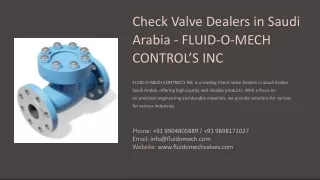 Check Valve Dealers in Saudi Arabia, Best Check Valve Dealers in Saudi Arabia