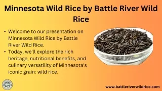 Minnesota Wild Rice