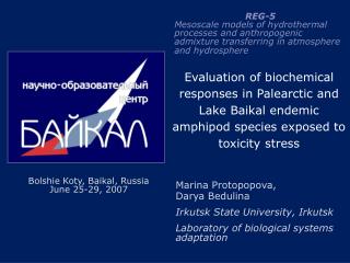 Evaluation of biochemical responses in Palearctic and Lake Baikal endemic amphipod species exposed to toxicity stress