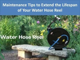 Maintenance Tips to Extend the Lifespan of Your Water Hose Reel