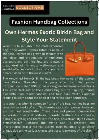 Own Hermes Exotic Birkin Bag and Style Your Statement