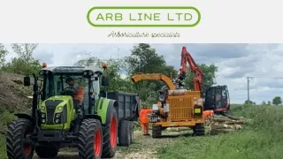 Tree Surgery Liverpool