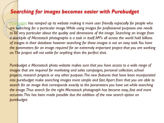 Searching for images becomes easier with Purebudget