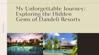 My Unforgettable Journey: Exploring the Hidden Gems of Dandeli Resorts