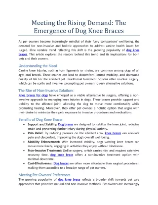 Meeting the Rising Demand The Emergence of Dog Knee Braces