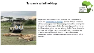 Tanzania safari holidays