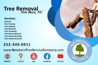 Tree Removal New Bern, NC