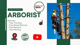 Arborist Hesperia, CA