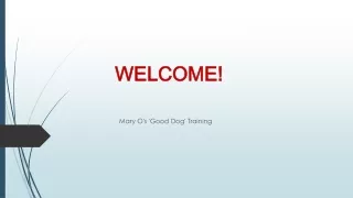 Get the Best In-Home Dog in Training Galt,