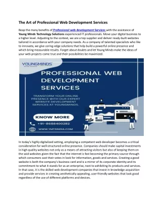 The-Art-of-Professional-Web-Development-Services