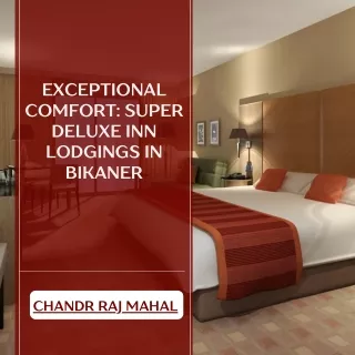 Exceptional Comfort Super Deluxe Inn Lodgings in Bikaner