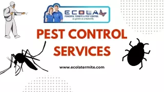 Effective Pest Control Solutions in Culver City and Beyond