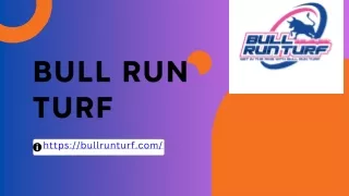 Bull run turf