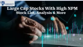 Large Cap Stocks With High NPM