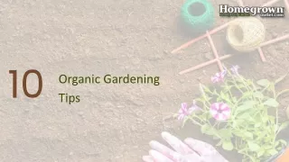 10 Organic Gardening Tips