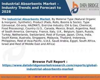 Industrial Absorbents Market