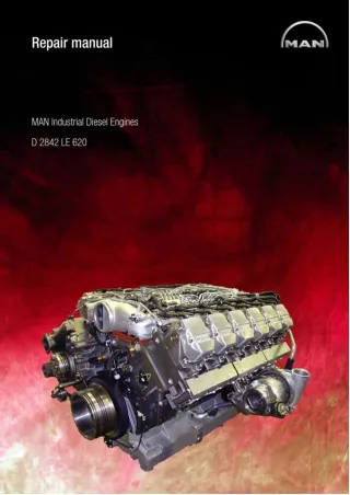 MAN INDUSTRIAL DIESEL ENGINE D2842 LE620 SERIES Service Repair Manual