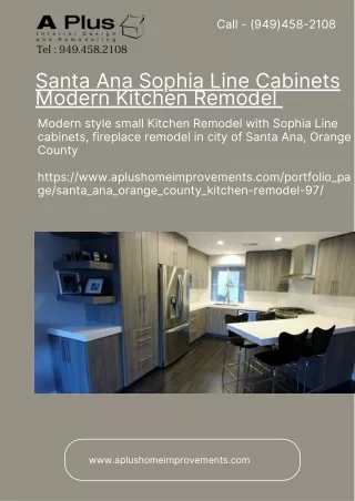 Santa Ana Sophia Line Cabinets Modern Kitchen Remodel