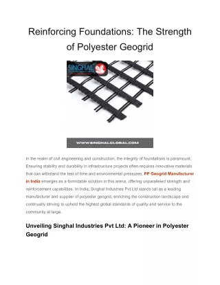 Reinforcing Foundations_ The Strength of Polyester Geogrid