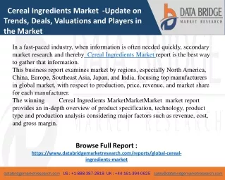 Cereal Ingredients Market