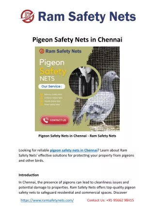 Pigeon Safety Nets in Chennai