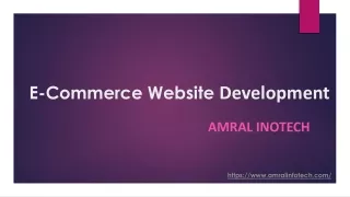 Expert e-commerce website development in Pune by Amral Infotech