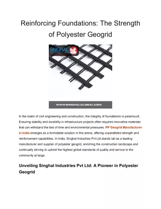 Reinforcing Foundations_ The Strength of Polyester Geogrid (1)