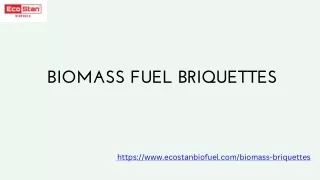 The Promise of Biomass Fuel Briquettes