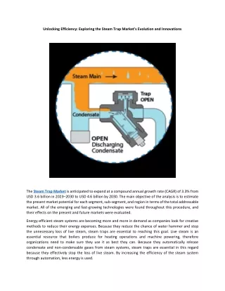 Unlocking Efficiency: Exploring the Steam Trap Market's Evolution and Innovation