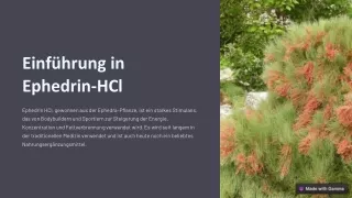 Ephedrin hcl kaufen | Fatburner-1