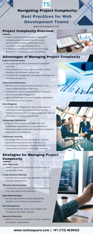 Navigating Project Complexity Best Practices for Web Development Teams INFO