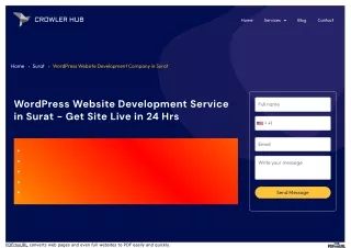 WordPress Website Maintenance Service In Surat| Crowlerhub