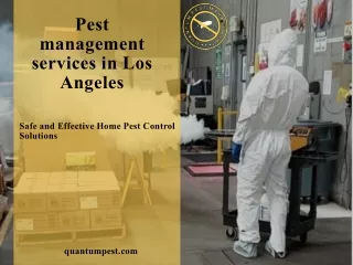 Pest management services in Los Angeles