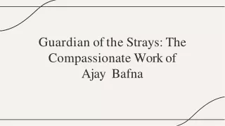 AJAY BAFNA A STRAY ANIMAL PROTECTOR