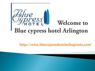 Blue cypress hotel Arlington