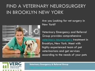 brooklyn emergency vet