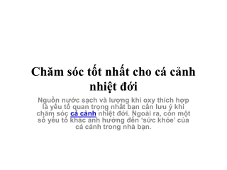 Chăm sóc tốt nhất cho cá cảnh nhiệt đới