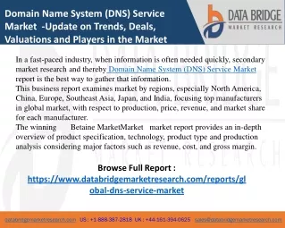 Domain Name System (DNS) Service Market