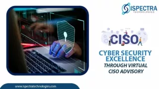 Cyber-security-Excellence-through-Virtual-CISO-Advisory